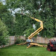 Best Grass Overseeding  in Phillipsburg, NJ